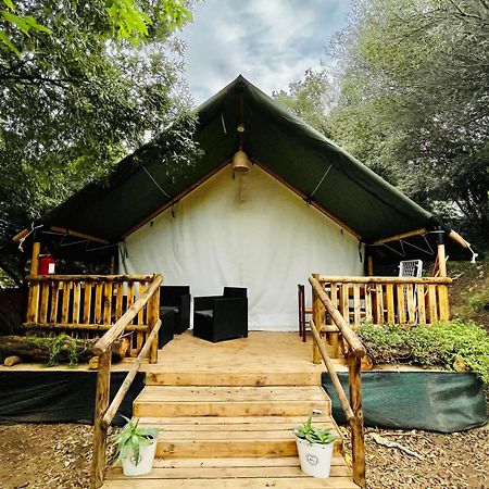 New Camping Coccorrocci Marina di Gairo Exteriör bild