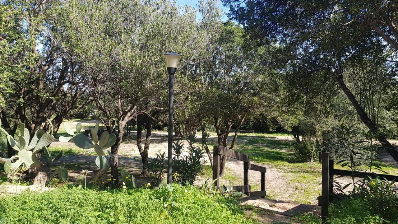 New Camping Coccorrocci Marina di Gairo Exteriör bild