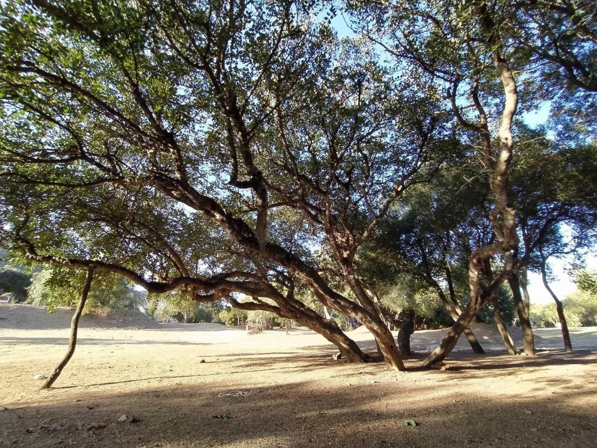 New Camping Coccorrocci Marina di Gairo Exteriör bild