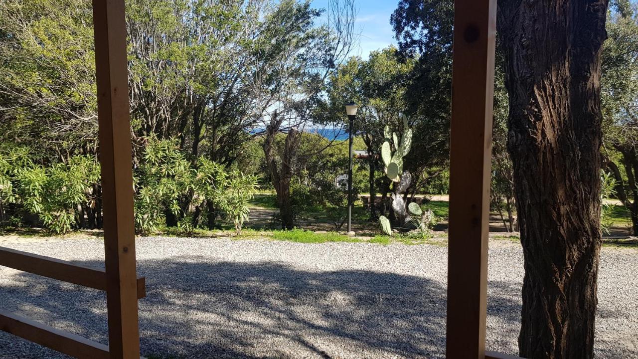 New Camping Coccorrocci Marina di Gairo Exteriör bild