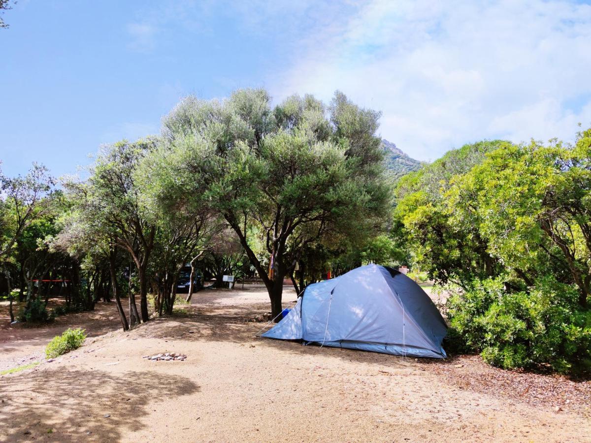 New Camping Coccorrocci Marina di Gairo Exteriör bild