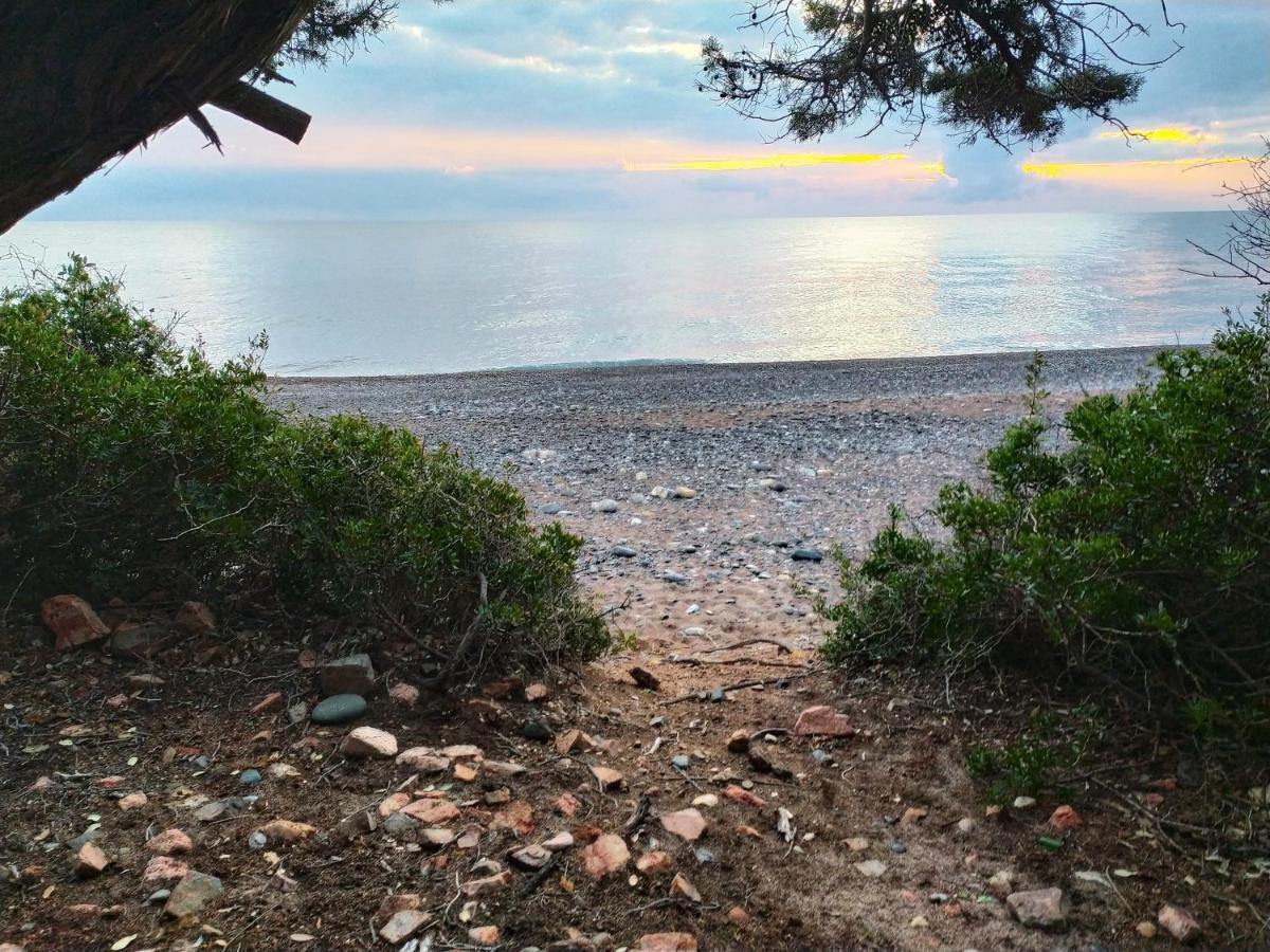 New Camping Coccorrocci Marina di Gairo Exteriör bild