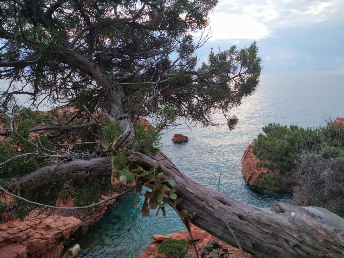 New Camping Coccorrocci Marina di Gairo Exteriör bild