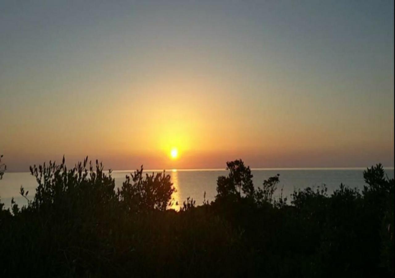 New Camping Coccorrocci Marina di Gairo Exteriör bild