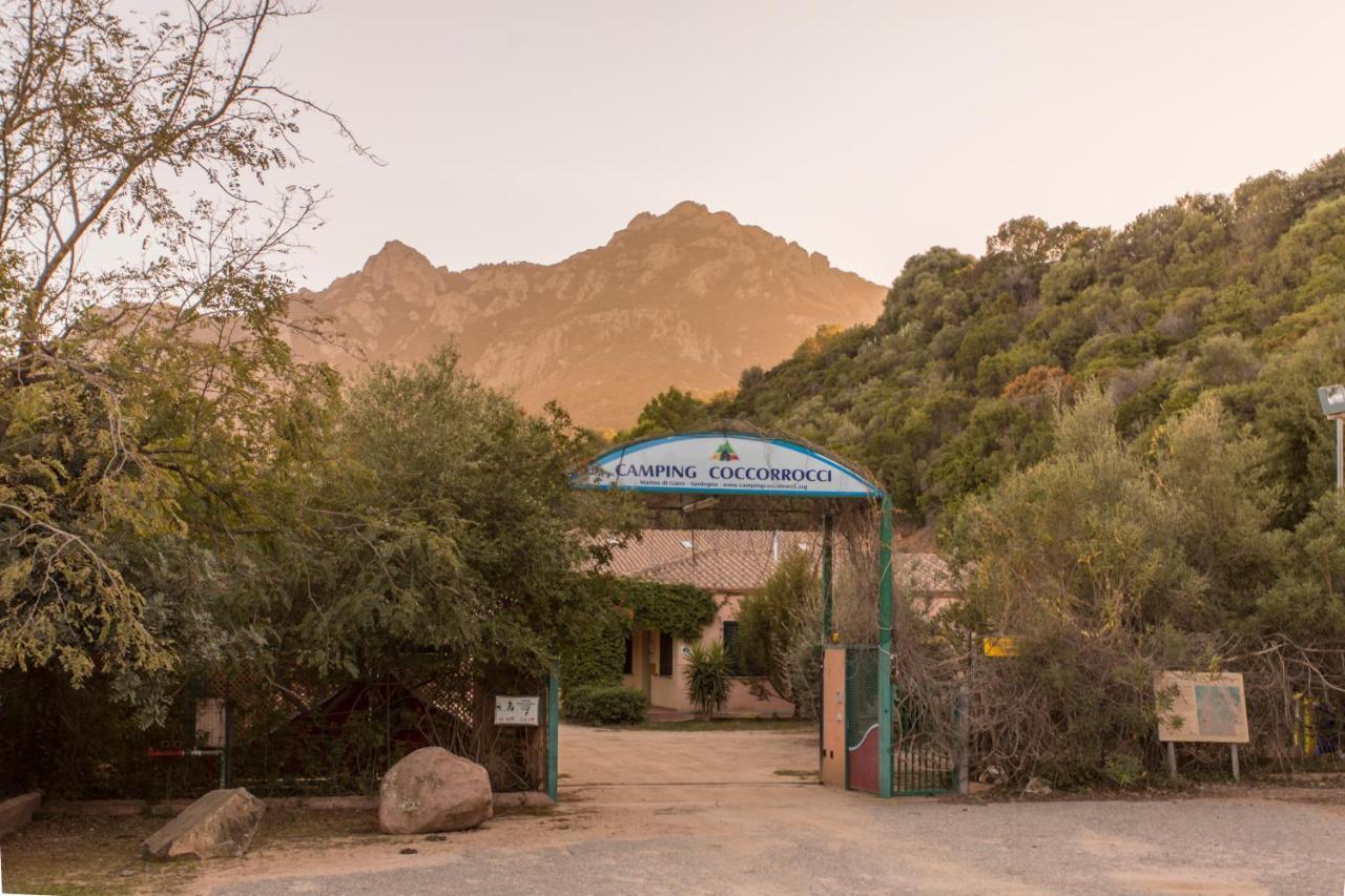 New Camping Coccorrocci Marina di Gairo Exteriör bild