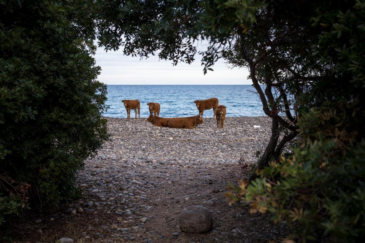 New Camping Coccorrocci Marina di Gairo Exteriör bild
